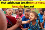 Crystal Foundation Social Causes