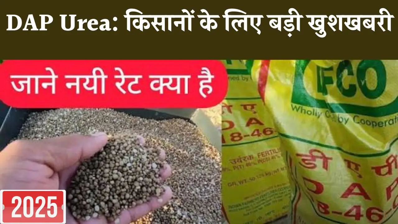 DAP-Urea-new rate
