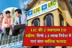 LIC FD Plan 2025