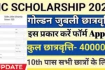 Lic Scholarship