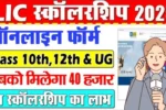Lic Scholarship