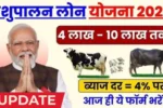 Pashupalan dairy loan yojana