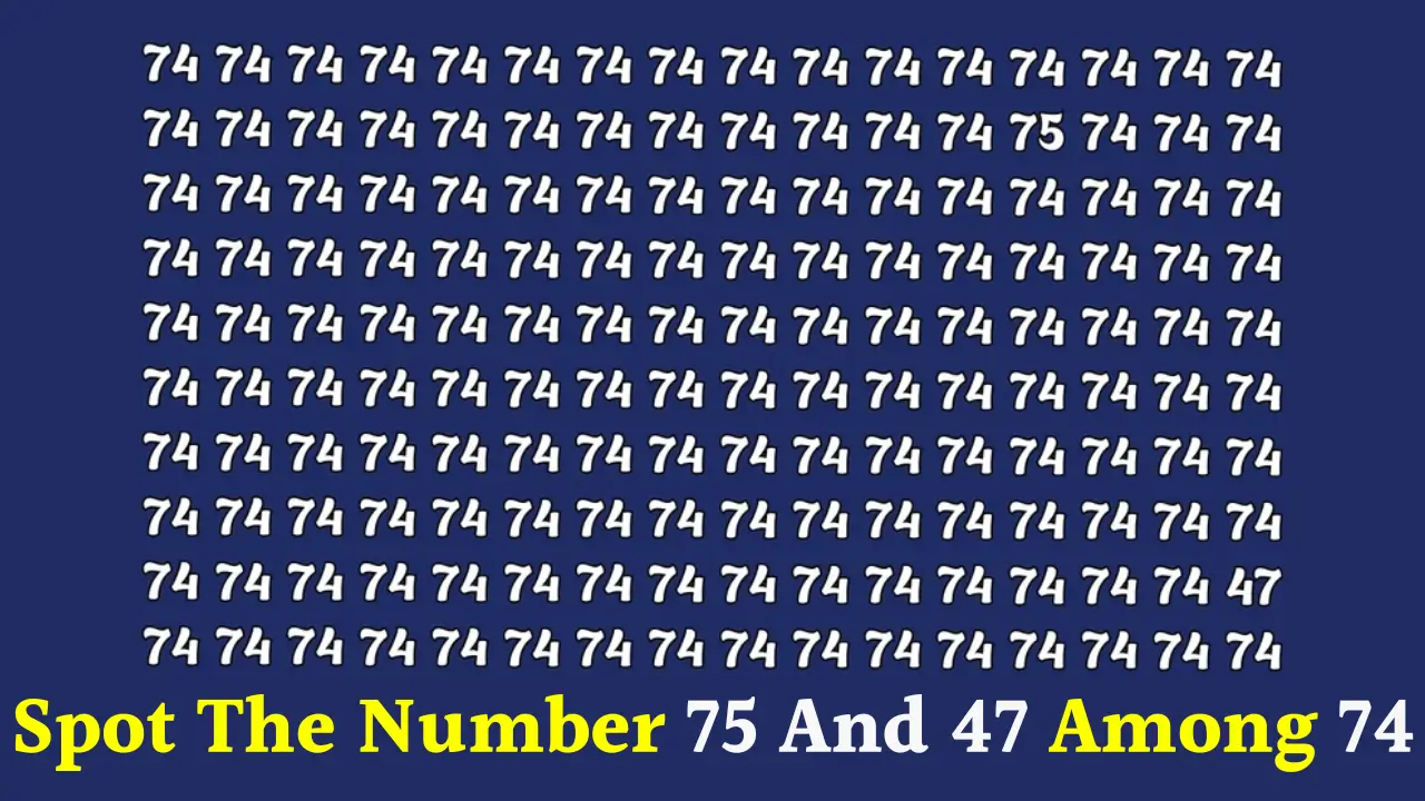 Spot The Number 75 And 47 Among 74